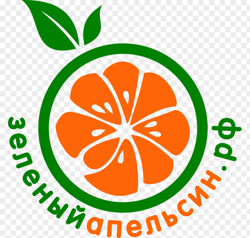 Orange Vector Graphics Stock Photography Illustration Clip Art PNG