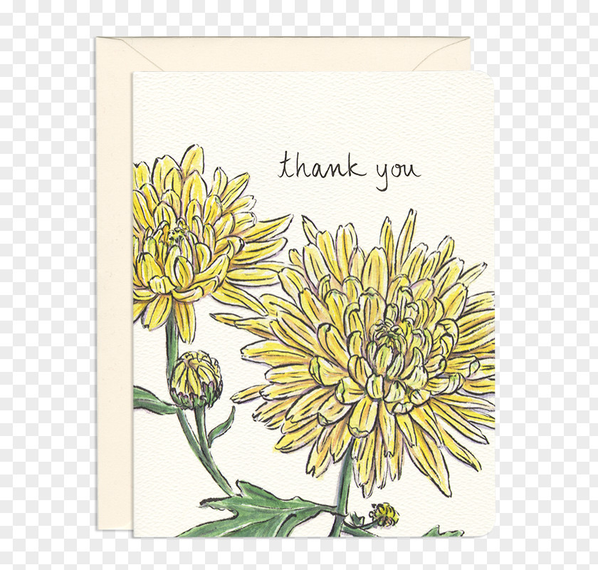 Birthday Greeting & Note Cards Holiday Sunflower M PNG