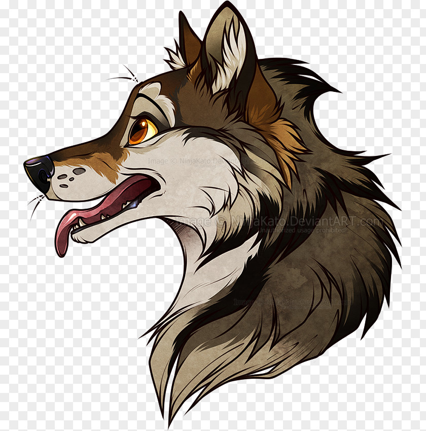 Cartoon Wolf Gray Drawing DeviantArt Sketch PNG