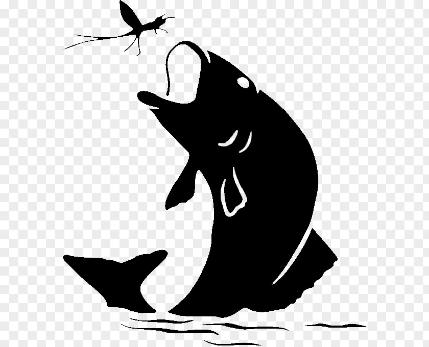 Cetacea Killer Whale Cartoon PNG