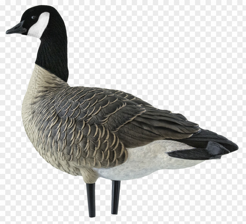 Goose Canada Duck Decoy PNG