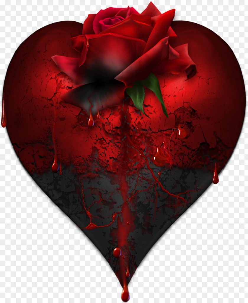 Gothic Heart Rose Blood Bleeding PNG