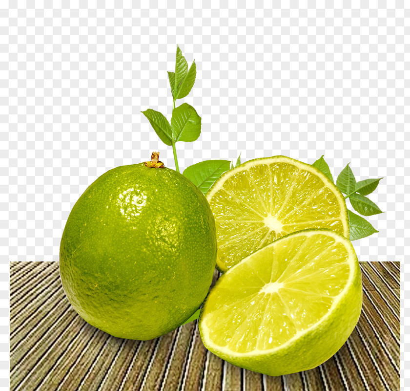 Green Lemon Persian Lime Icon PNG