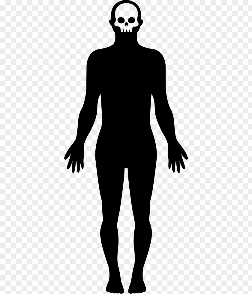 Human Body Homo Sapiens Silhouette Clip Art PNG