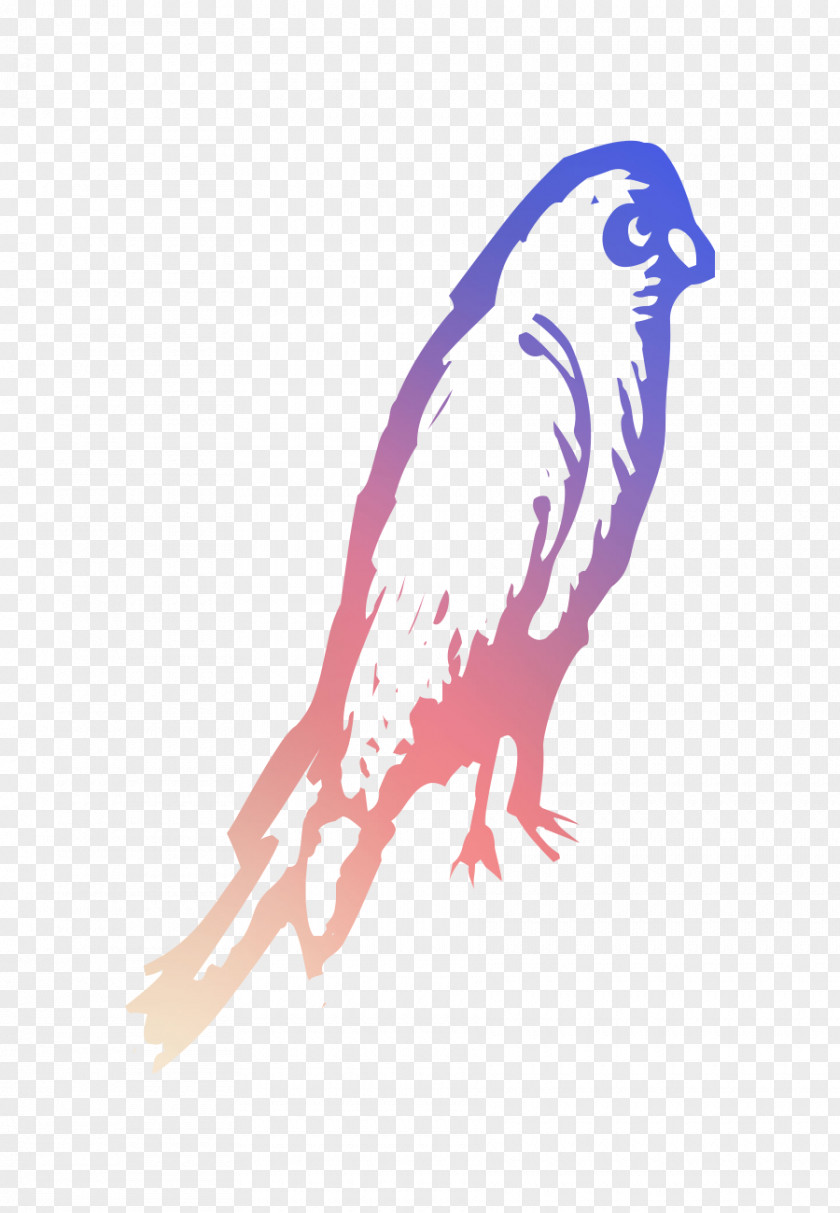 Owl Hawk Eagle Beak Feather PNG