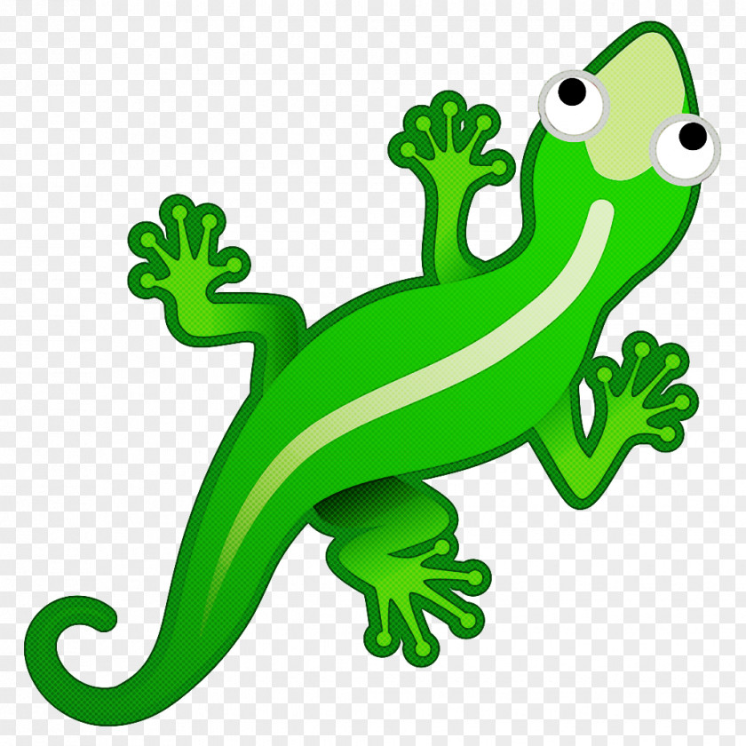 Plant Coloring Book Frog Cartoon PNG