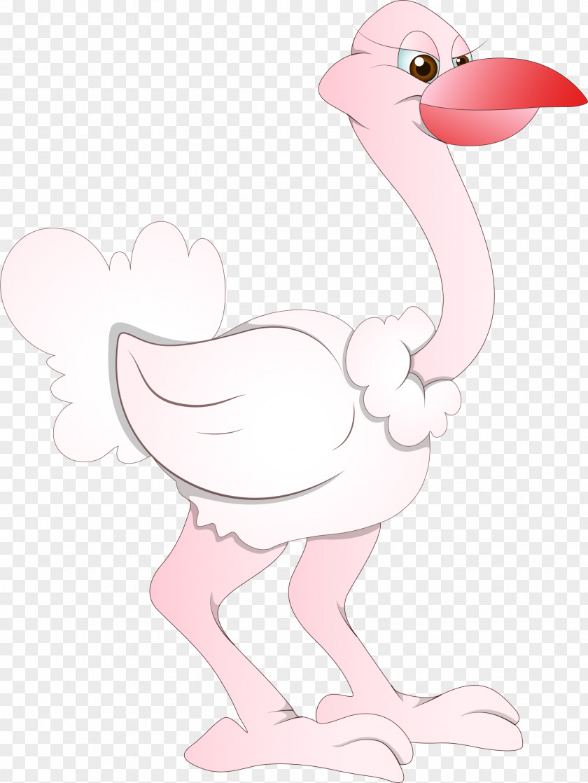 Cartoon Ostrich Common Bird Drawing Feather PNG