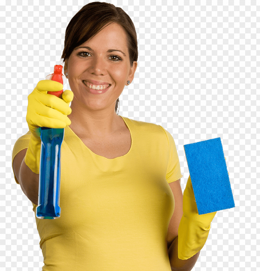 Chinook Cleaning Cleaner Laundry Schoonmaak Business PNG