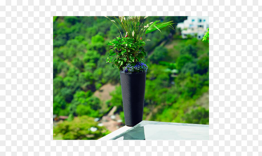 Crescent Picture Material Flowerpot Container Garden Houseplant Gardening PNG