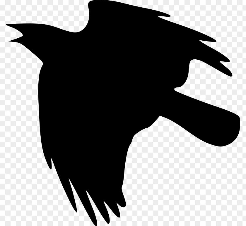 Flying Ravens Crow Clip Art PNG