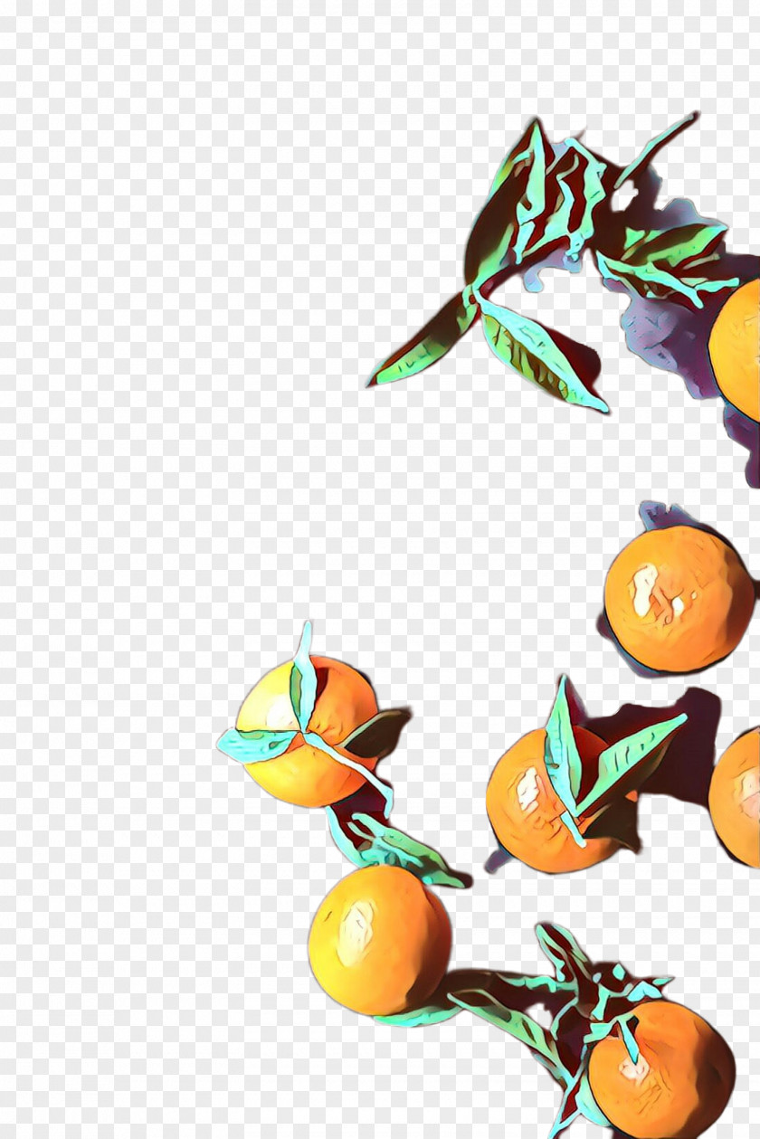 Kumquat Valencia Orange PNG