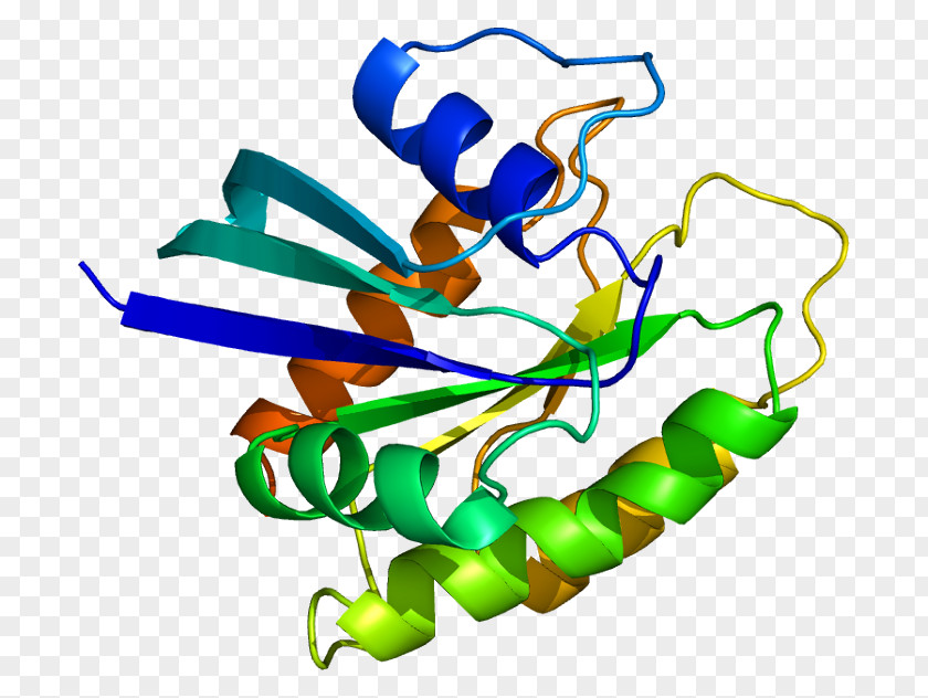Neuroblastoma RAS Viral Oncogene Homolog Ras Subfamily Protein KRAS PNG