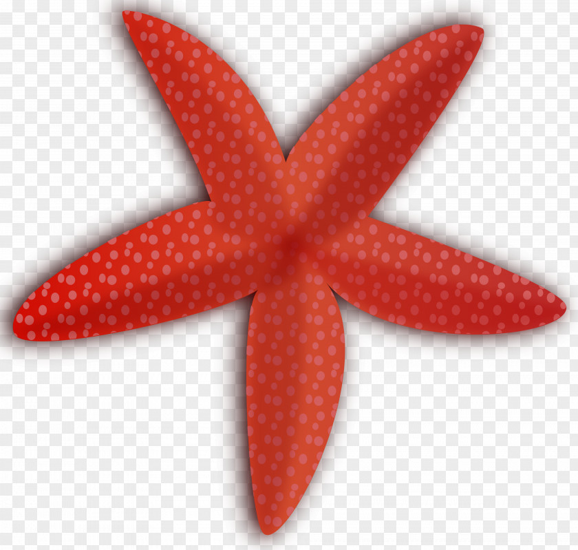 Starfish Cartoon Clip Art PNG