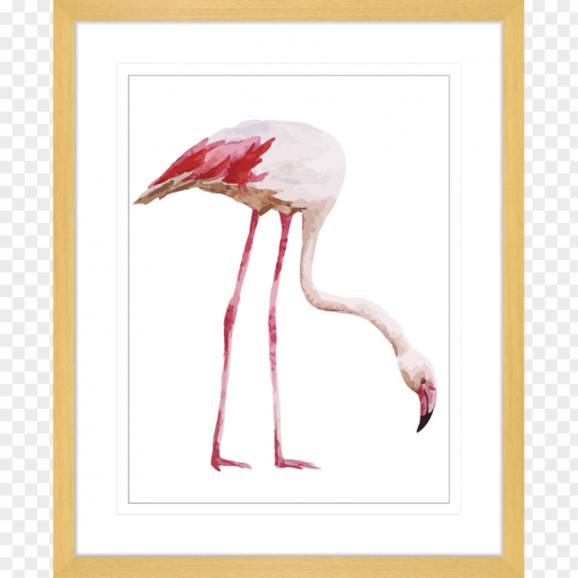 Watercolour Birds Flamingo Desktop Wallpaper Drawing PNG