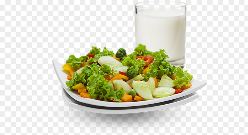Woman Diet Health Food Nutrition Salad Bone PNG
