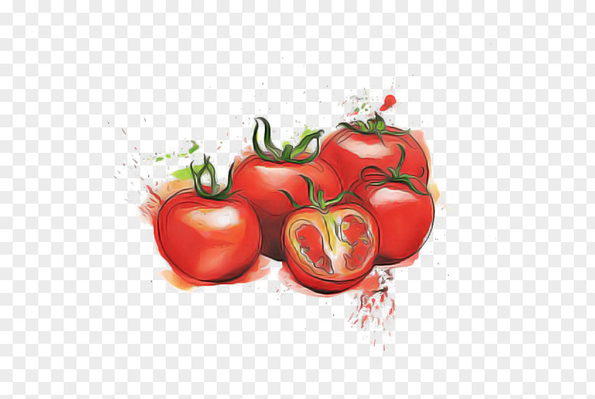 Bush Tomato Food PNG