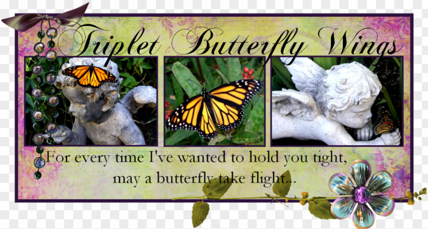 Butterfly Brush-footed Butterflies Song Dizigotiniai Dvyniai My Darkest Days PNG