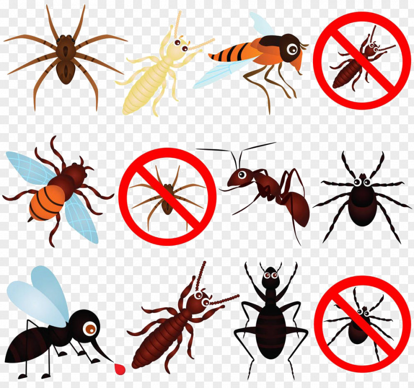 Cartoon Insect Material Mosquito Cockroach Pest Control PNG