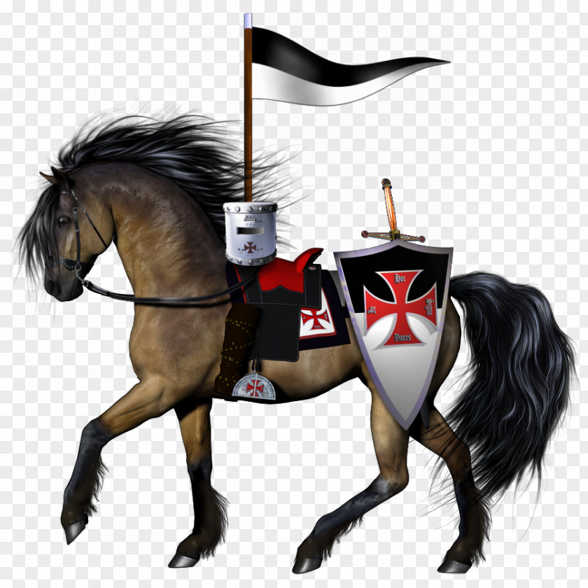 Horse Crusades Knight PNG