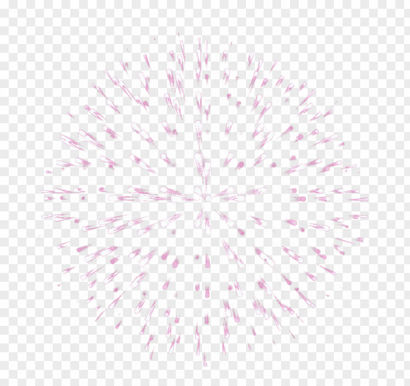 Lilac Bloom Fireworks Symmetry Petal Pattern PNG