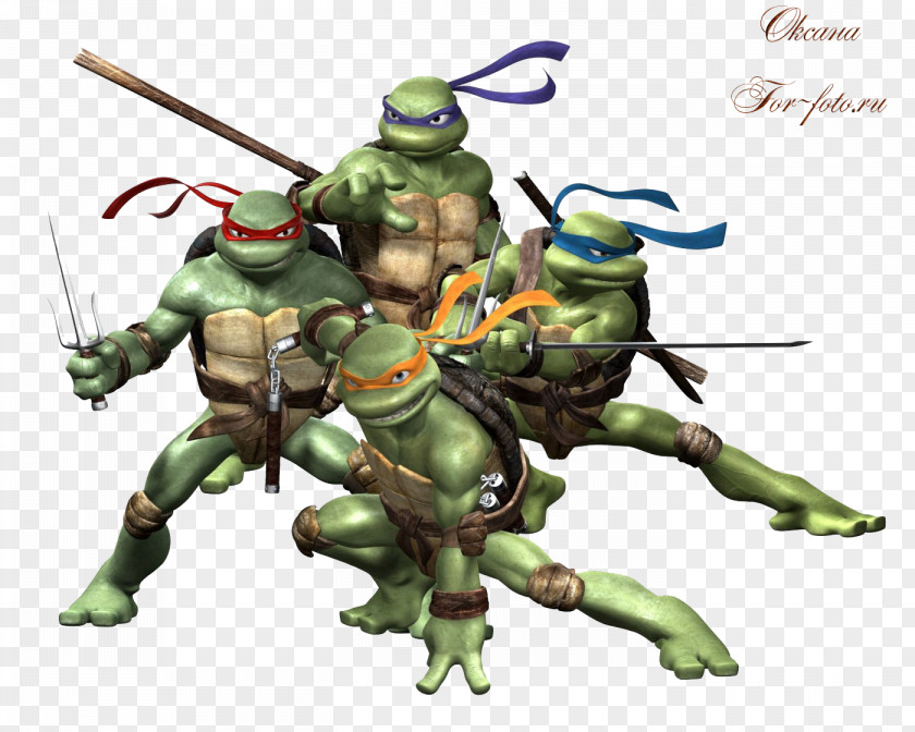 Ninja Leonardo Splinter Donatello Teenage Mutant Turtles & Other Strangeness PNG