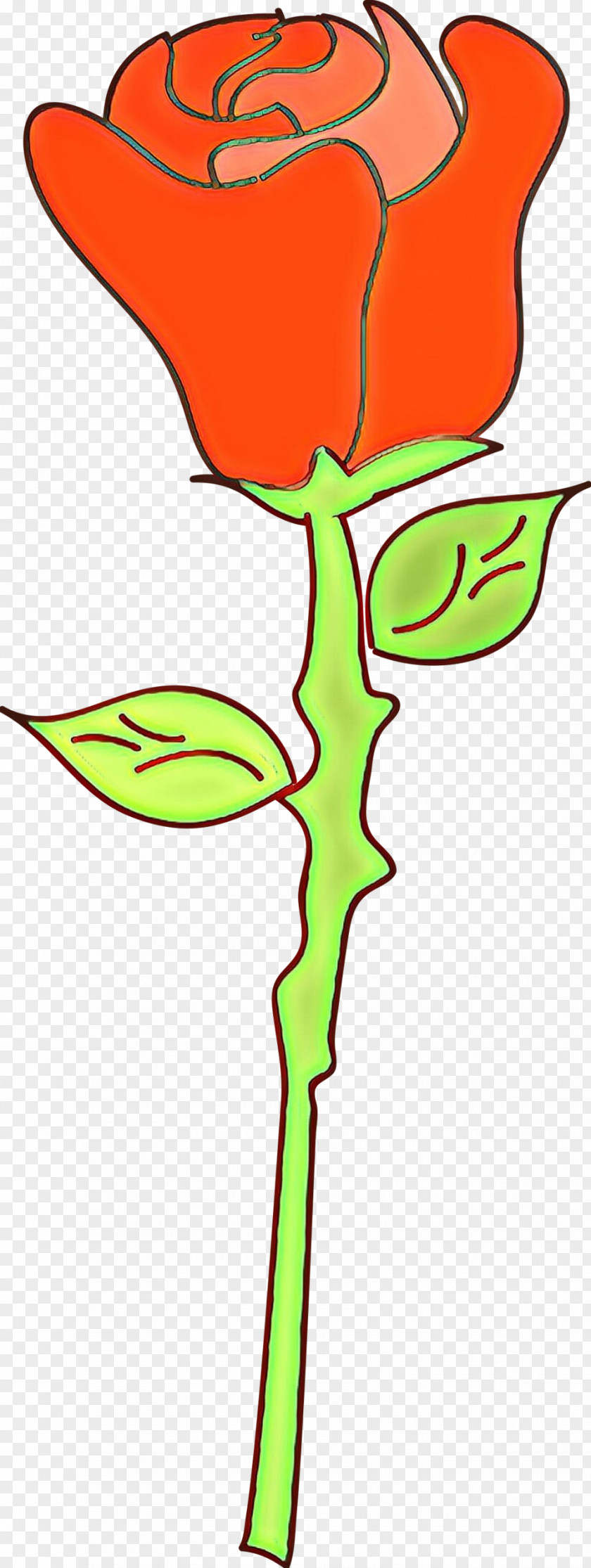 Pedicel Flower Clip Art Plant Stem Cut Flowers Leaf PNG