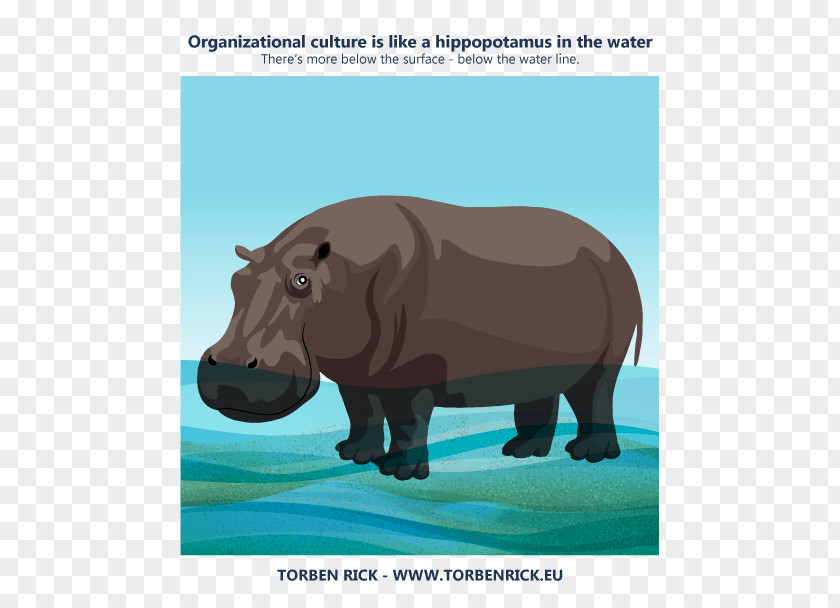 Water Illustration Hippopotamus Rhinoceros Cat Terrestrial Animal Organizational Culture PNG