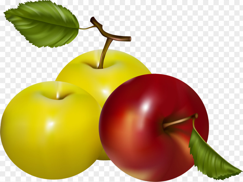 Berries Apple Fruit Food PNG