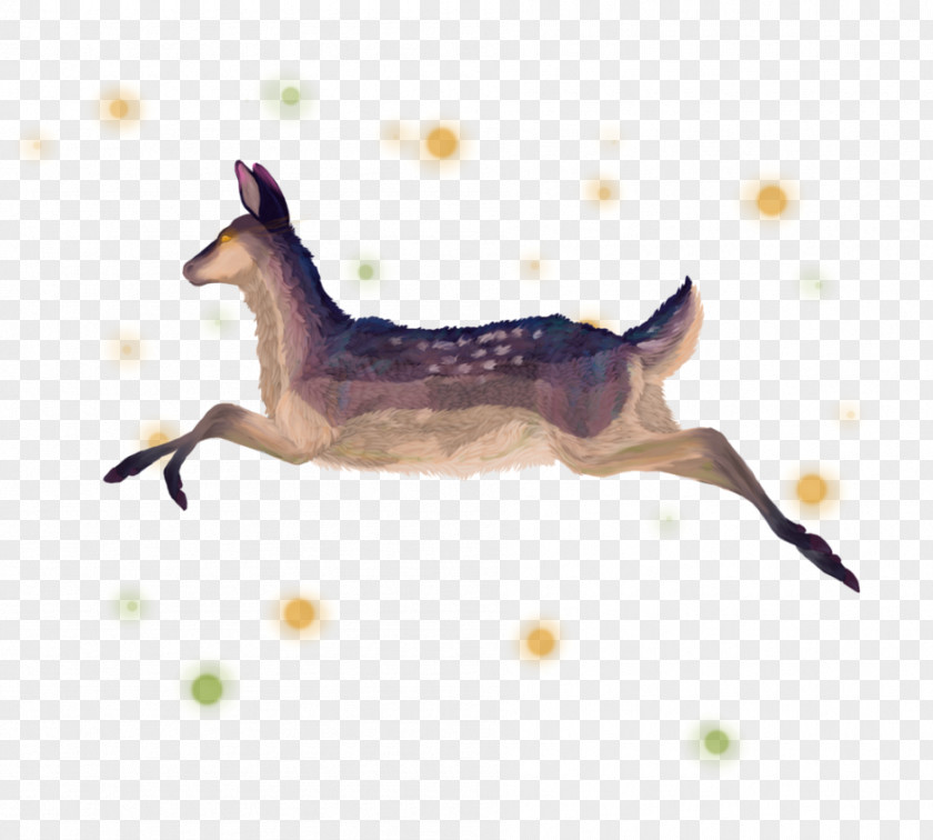 Deer Canidae Drawing Show Jumping PNG