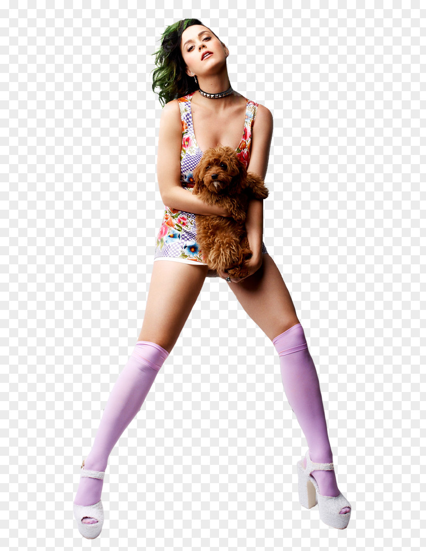 Prism Roar Album PNG