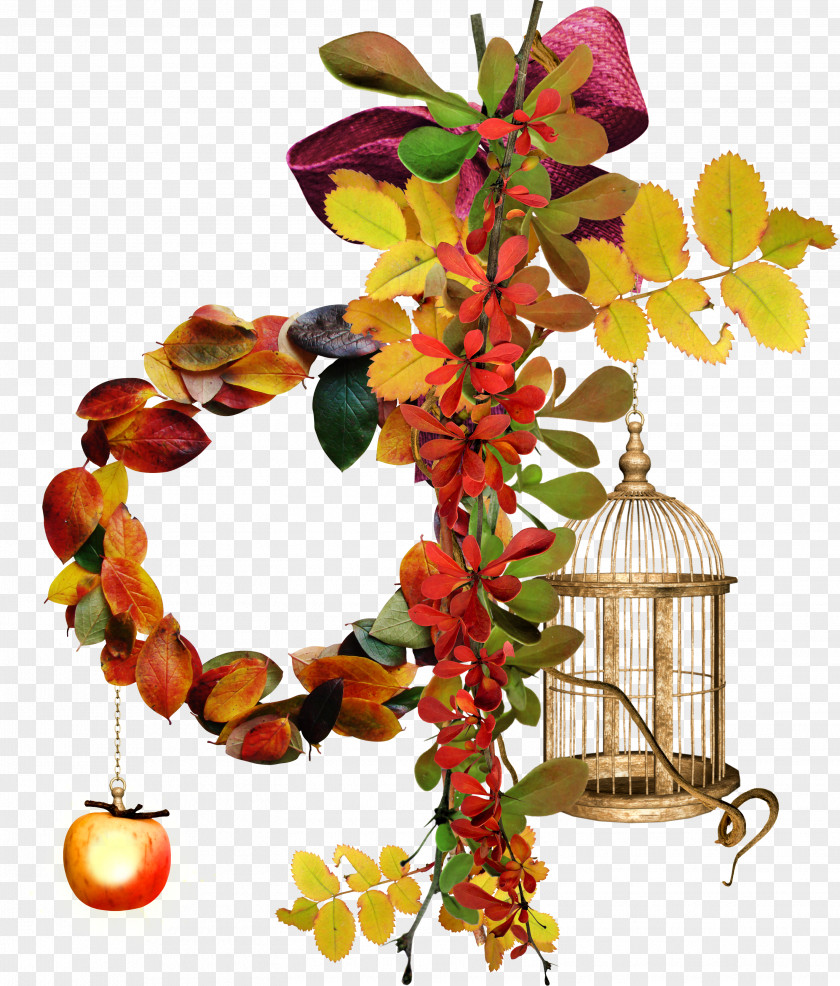 Tree Cage Wallpaper PNG