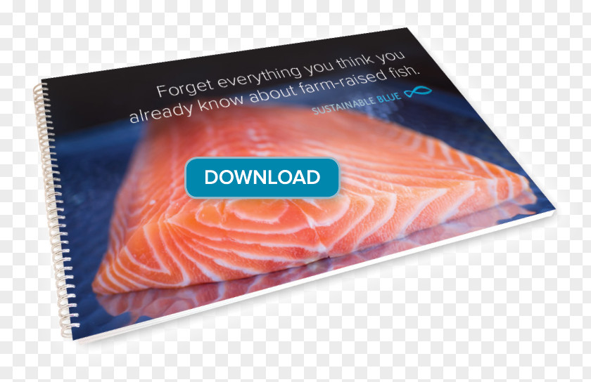 Brochure Template Blue Sustainability Bay Of Fundy Fish Salmon As Food PNG