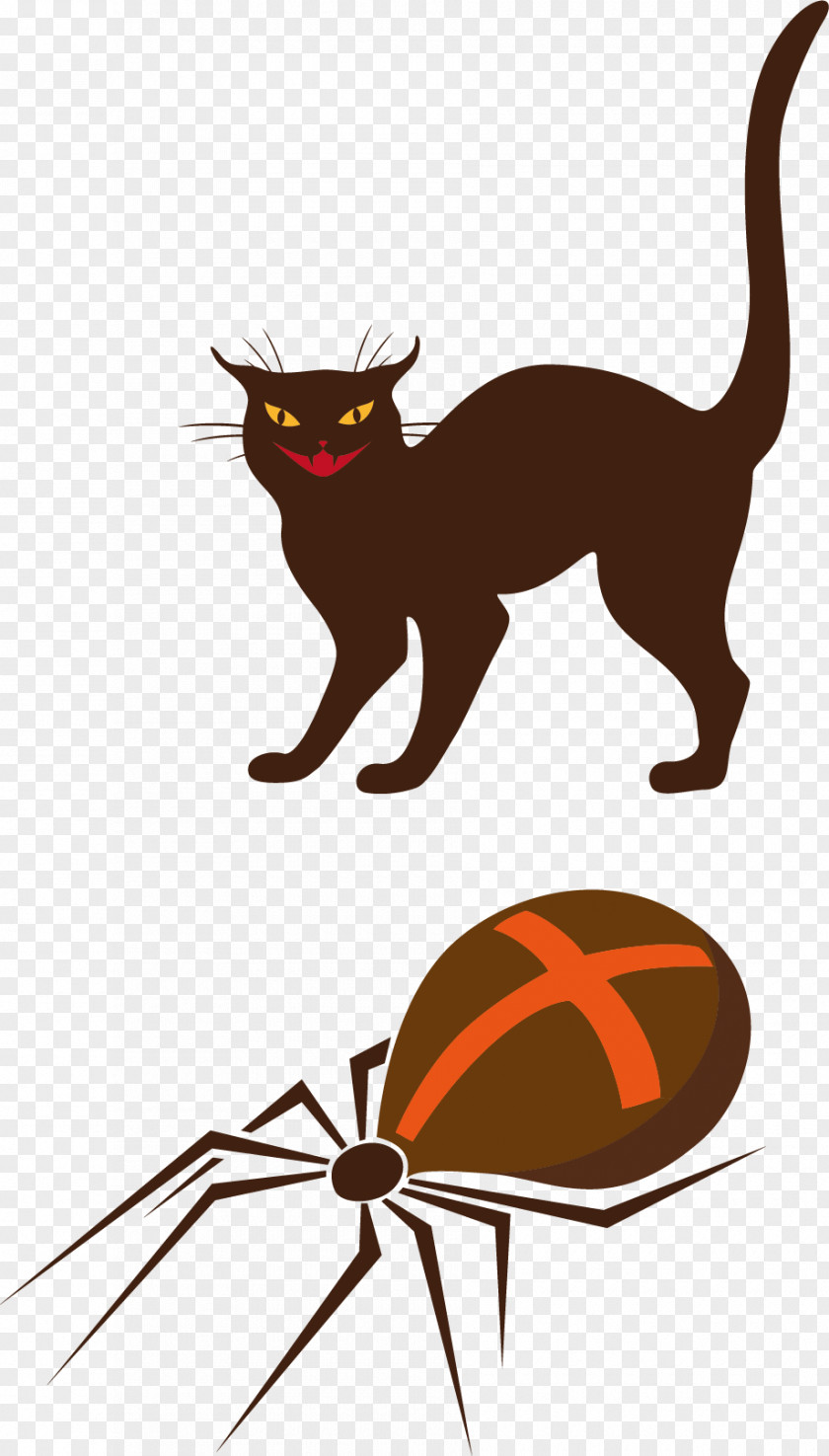 Cartoon Cat And Spider Material Whiskers Black Halloween Clip Art PNG