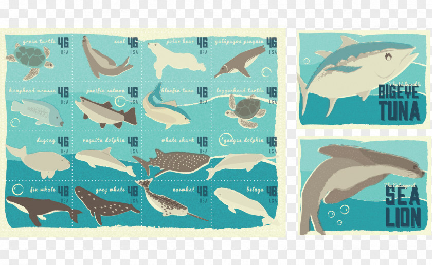 World Tuna Day Marine Mammal Fauna Turquoise Fish PNG