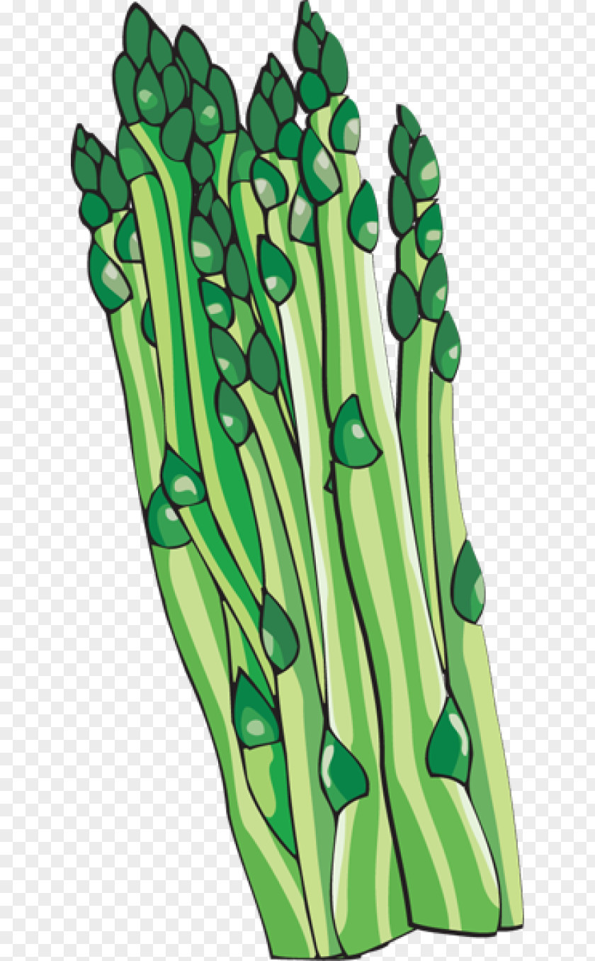 Asparagus Cliparts Bunch Of Vegetable Clip Art PNG