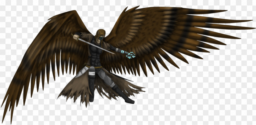Eagle Harpy Bird Archaeopteryx Hybrid PNG