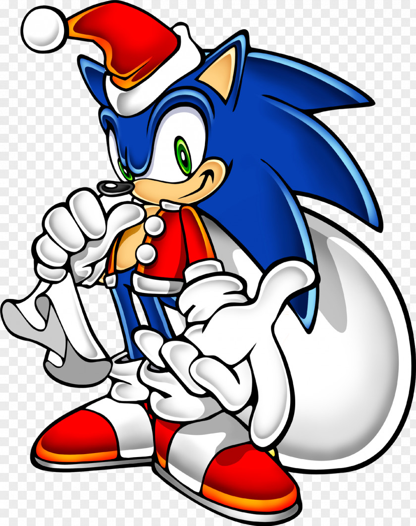 Sonic The Hedgehog Adventure 2 Battle Runners PNG