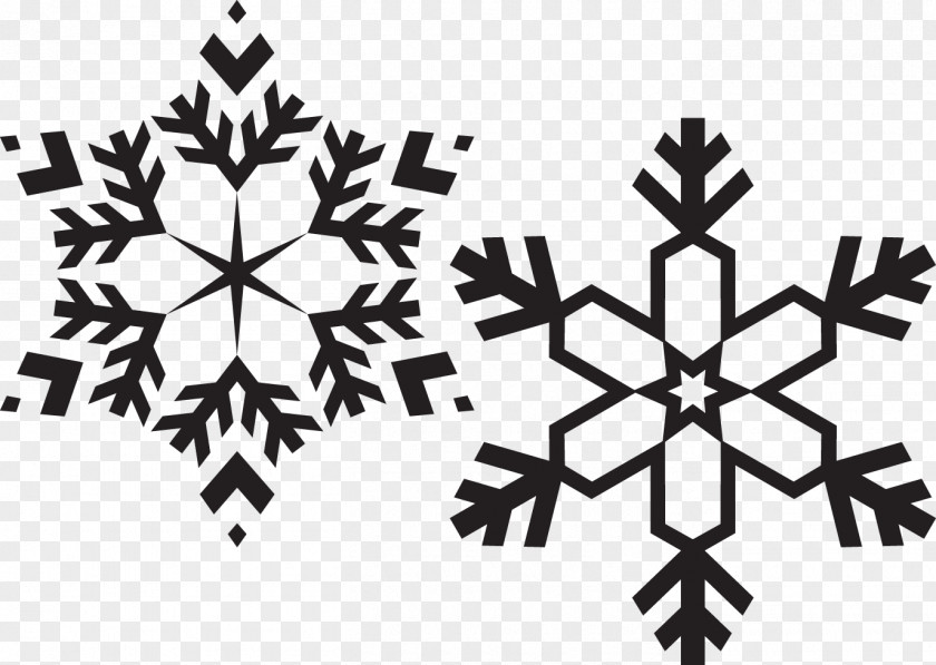 Black And White Snowflakes Snowflake Drawing Christmas PNG