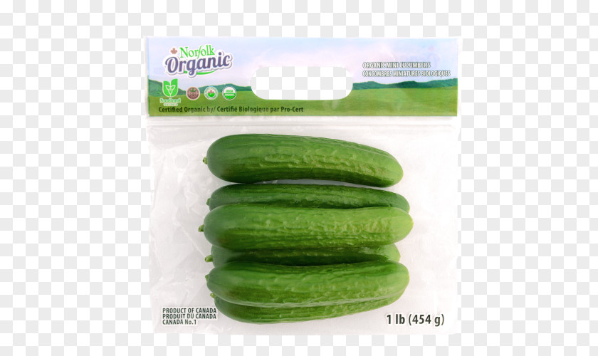 Cucumber Pickled Melon Organic Food PNG