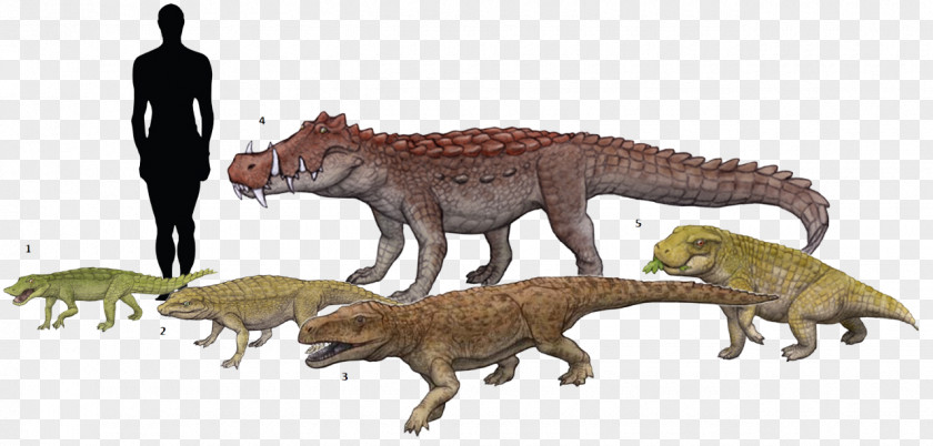Dinosaur Tyrannosaurus Simosuchus Anatosuchus Notosuchus Kaprosuchus PNG