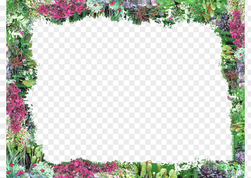 Flower Border Flowers Clip Art PNG
