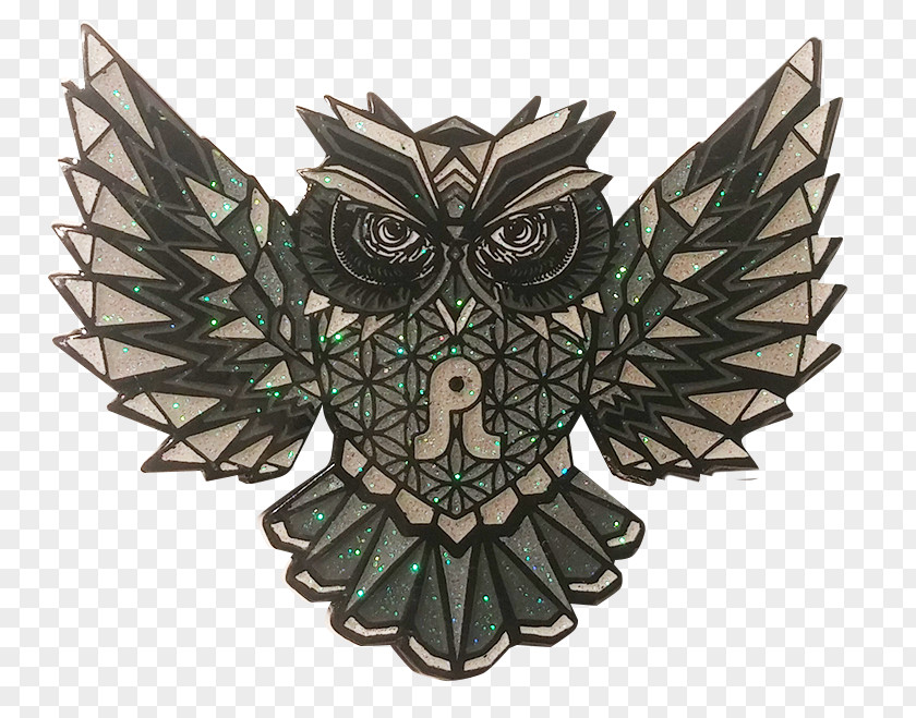 Hand-painted Owl Bird Of Prey Grey PNG