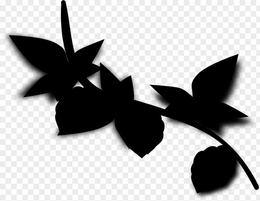 M Font Silhouette Leaf Black & White PNG