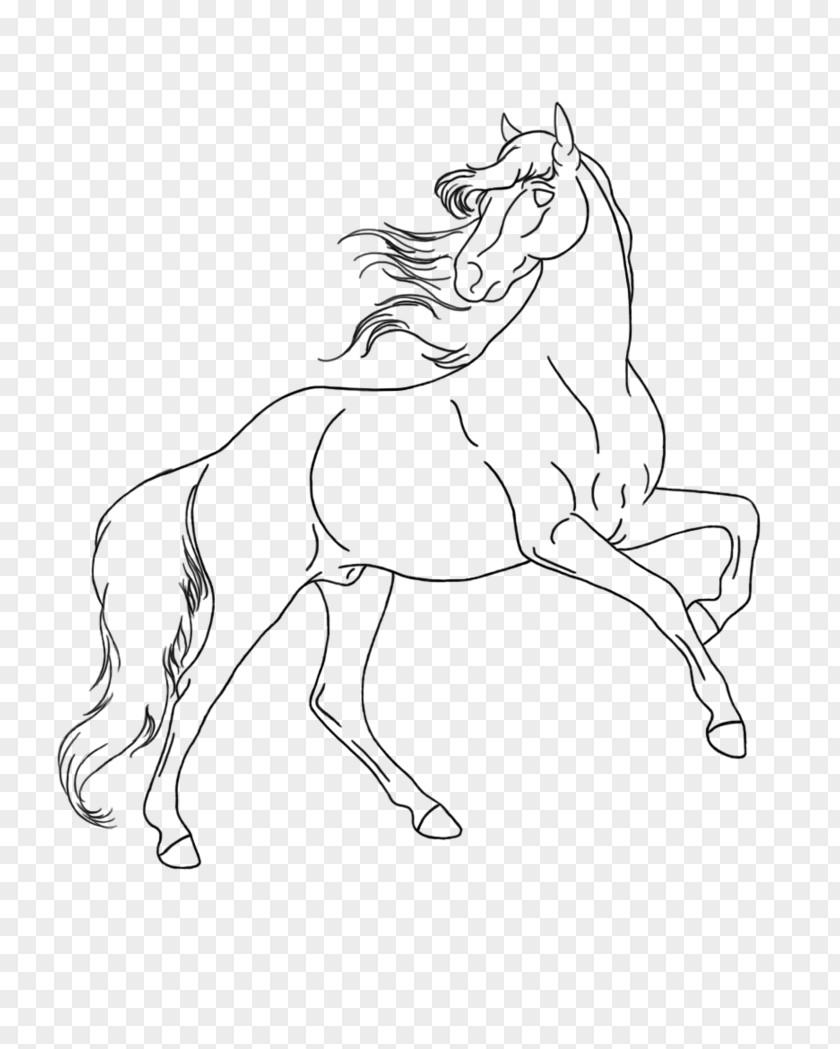 Mustang Arabian Horse Pony Stallion Rearing PNG