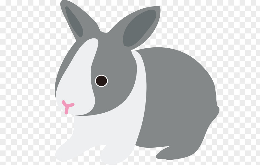 Rabbit Domestic Hare Whiskers Cartoon Snout PNG
