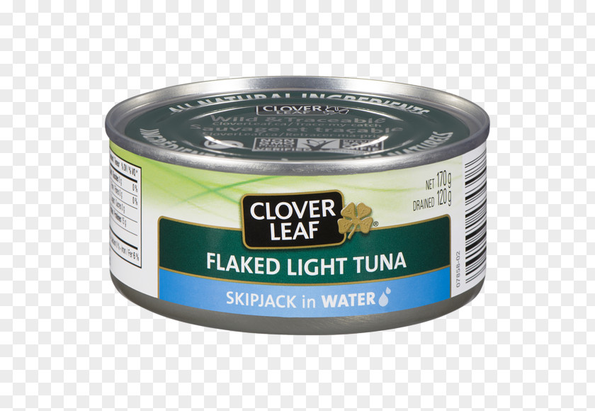 Water Skipjack Tuna Thon Canning PNG