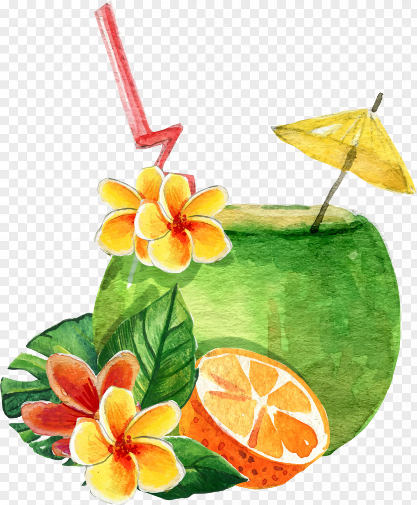 Vector Hand Painted Summer Special Drink Cocktail Orange Juice Coconut Milk PNG