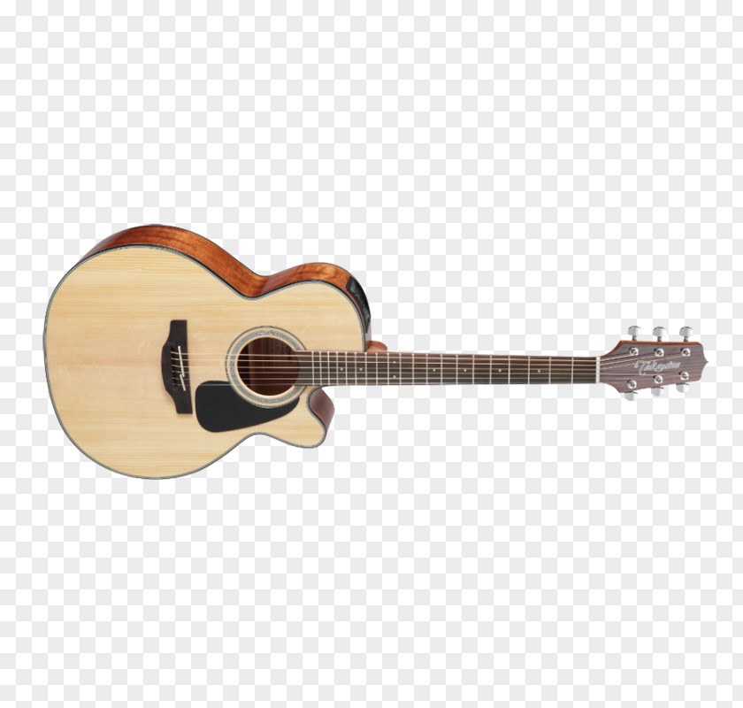 Acoustic Guitar Acoustic-electric Takamine Guitars Cutaway PNG