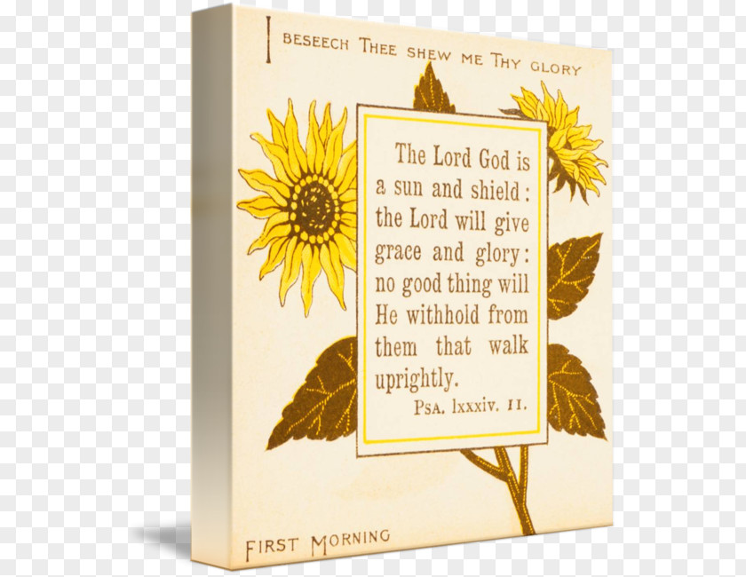 Bible Book Common Sunflower M Poetry PNG