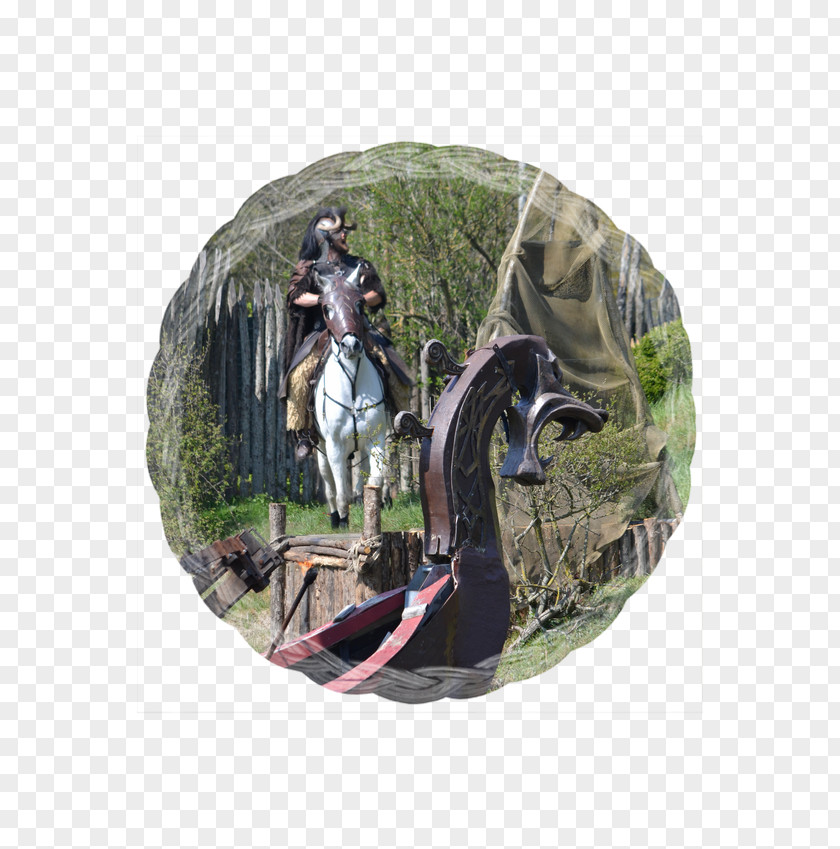 Horse Rein PNG